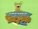 A Pup Named Scooby-Doo intro screen (image from tv-intros.com)